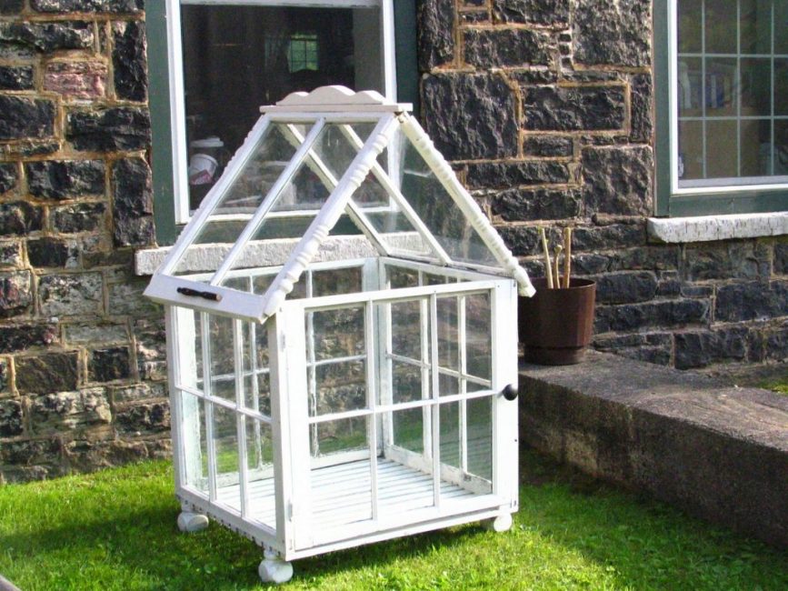 greenhouse6