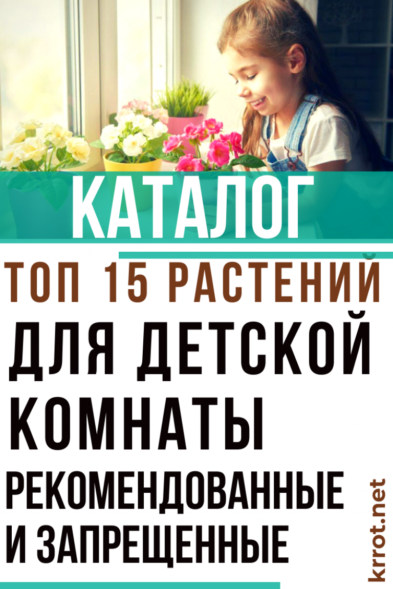 ТОП-15 Комнатных Растений для Детской | (25 Фото) +Отзывы