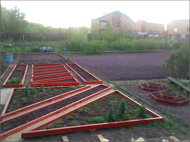 Высадка растений в короба