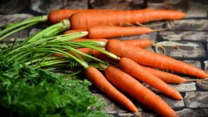 Морковь: описание, посадка в открытый грунт, уход, подкормка (Фото & Видео) +Отзывы