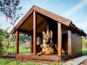 Как сделать конуру для собаки своими руками: строительство домика во дворе и в квартире. Чертежи, размеры и оригинальные идеи (более 55 фото и видео) + Отзывы