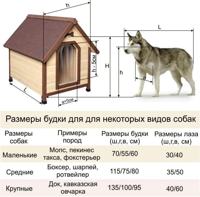 Средние размеры будки для разных собак