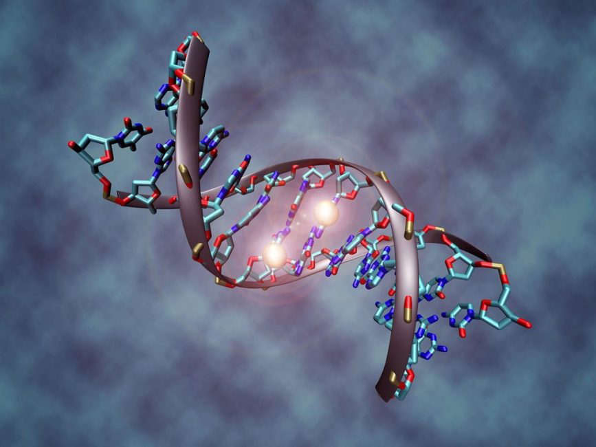 Фосфор - ключевой компонент ДНК