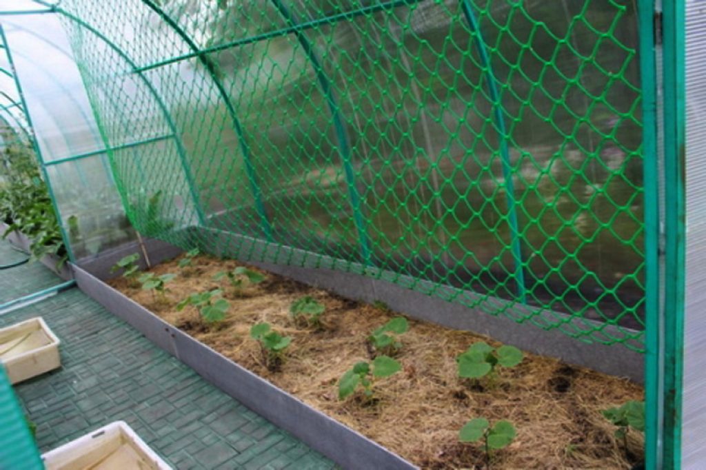 Шпалера Своими Руками 15 Видов - Чертежи, Инструкции - Krrot.net