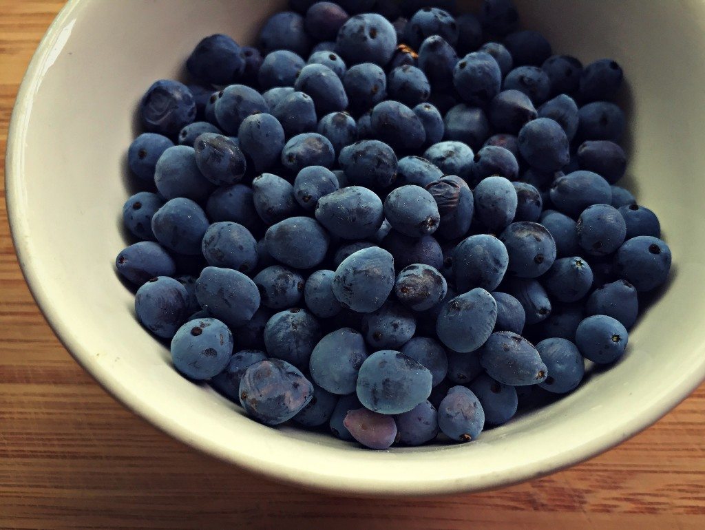 Из ягод магонии готовят вкусное варенье