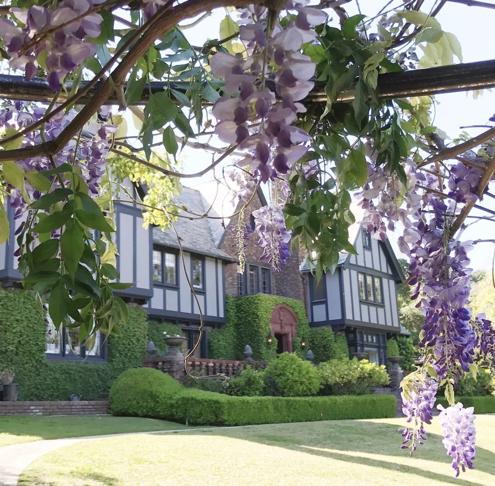 Декор участка, на котором глициния выглядит дополнительным украшением