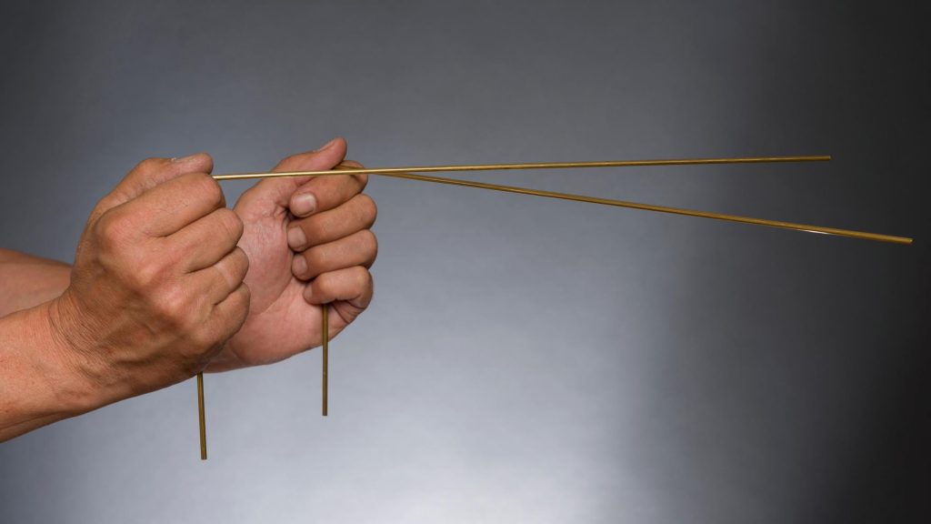 Поиск с помощью биолокации