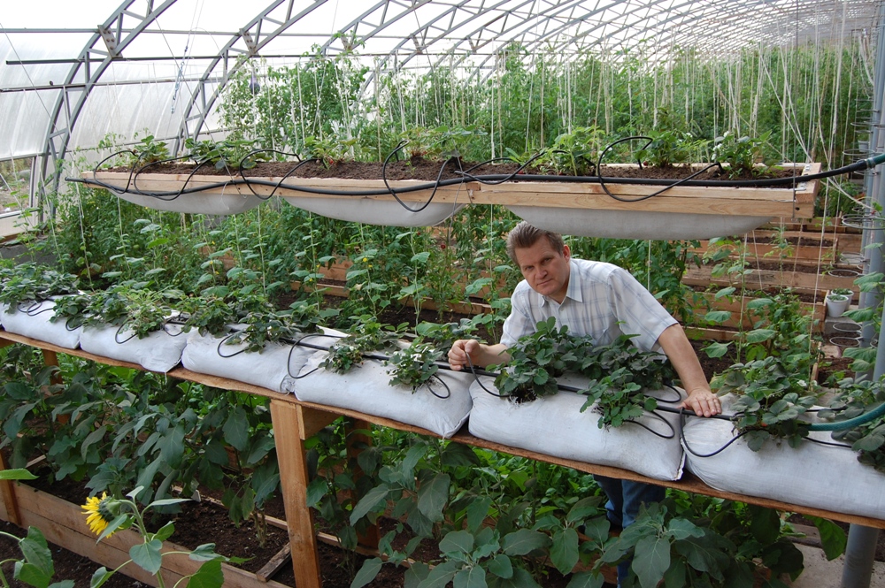 Система капельного орошения