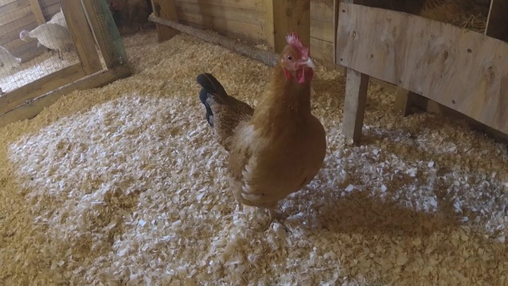 Утепление пола опилками