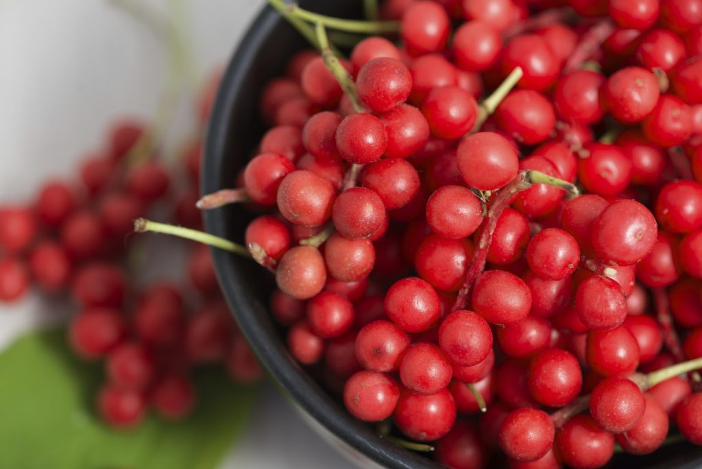 Ягоды лимонника китайского