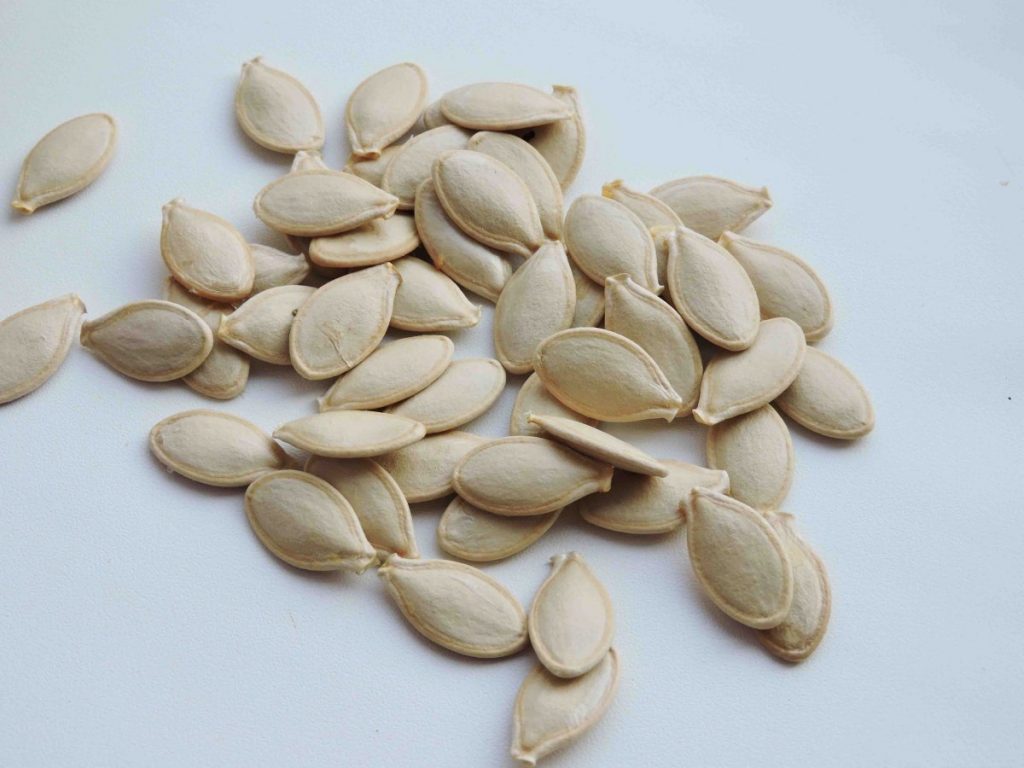 Семена кабачков