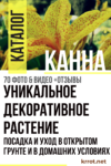 канна посадка и уход