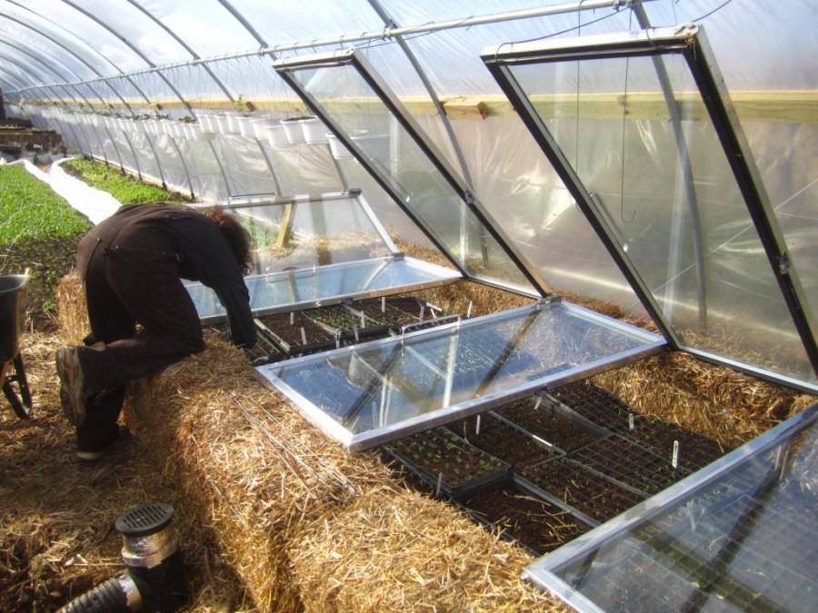 Биологический обогрев