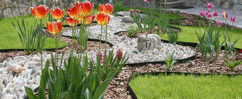 Дизайн клумбы