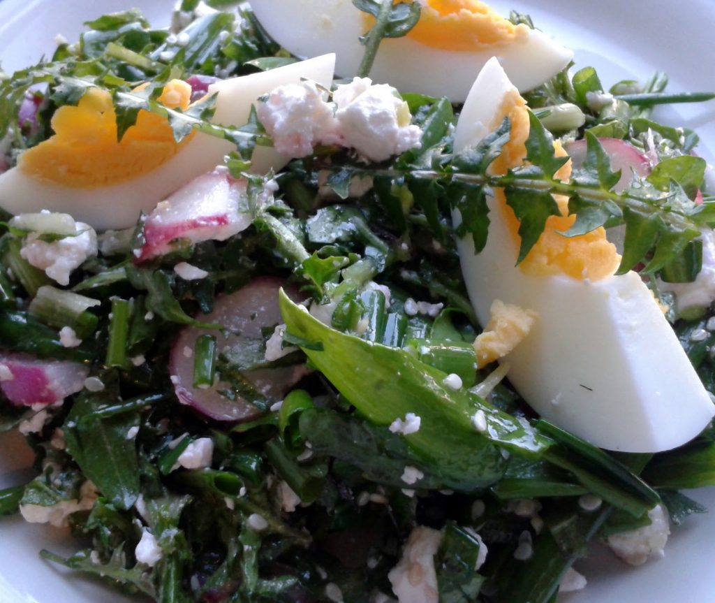 Салат из одуванчиков