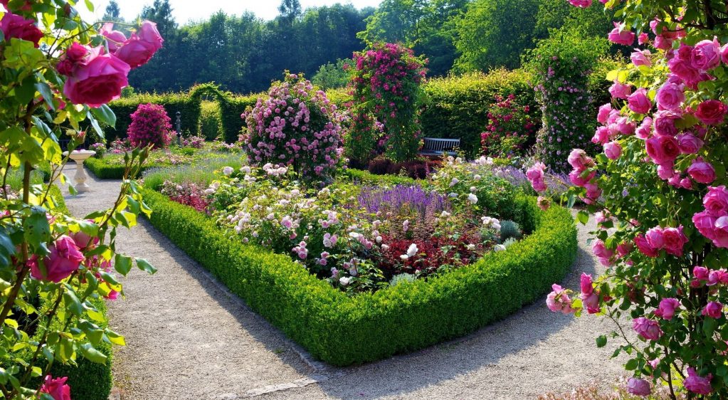 Островной миксбордер