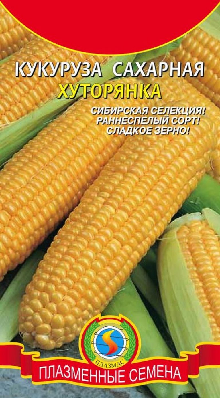 Посадка Кукурузы в Открытый Грунт: Все Тонкости Процесса