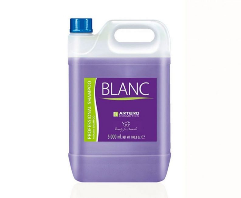 Artero Blanc - бутыль с объемом 5 л
