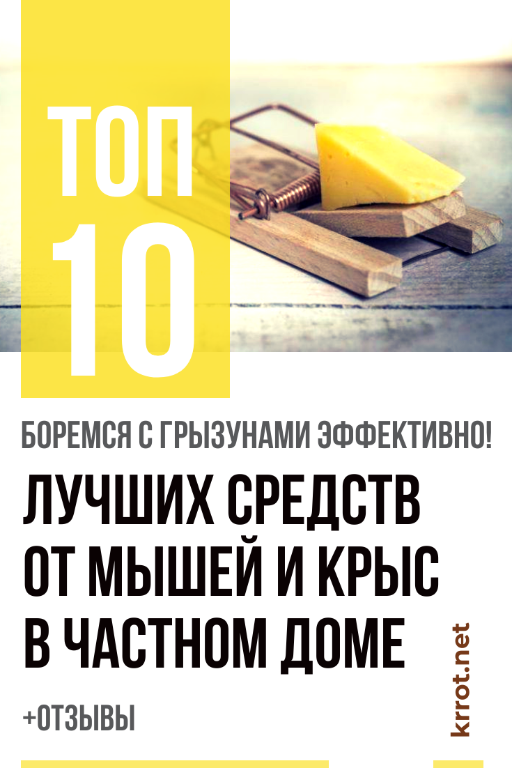 ТОП-10 Лучших Средств от Мышей и Крыс в Доме