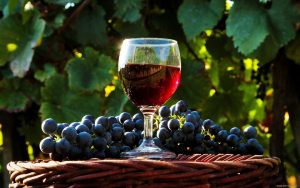 Как сделать домашнее вино из винограда? ТОП-10 простых и проверенных рецептов с пояснениями