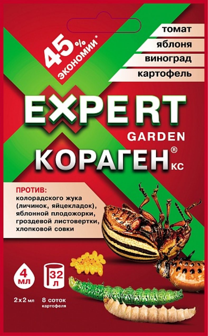 ТОП-5 Лучших Средств от Колорадского Жука | +Отзывы