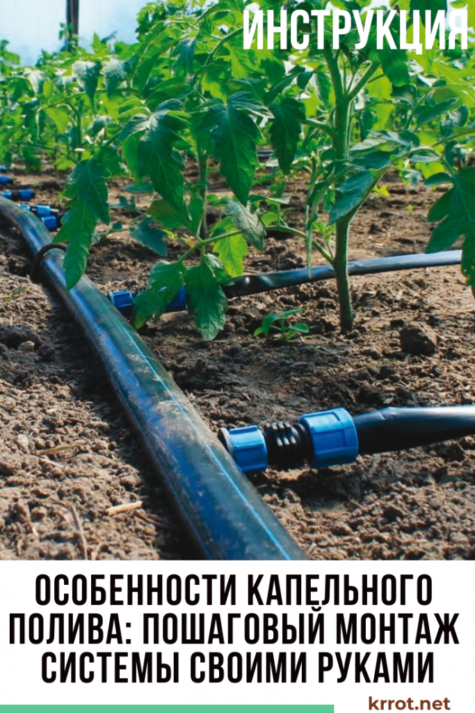 [Инструкция] Как Организовать Капельный Полив