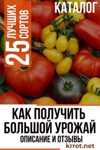 25 Лучших Сортов Томатов: Описание | (Фото & Отзывы)