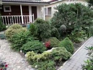 [ВИДЕО] Волшебный сад необычных растений