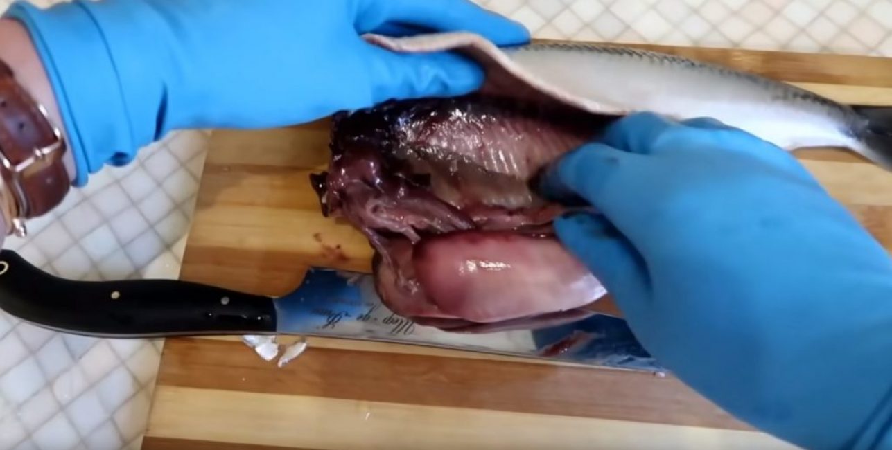 Очистка брюшной полости рыбы от внутренностей