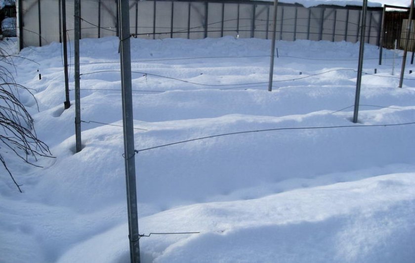 Снег в качестве укрытия