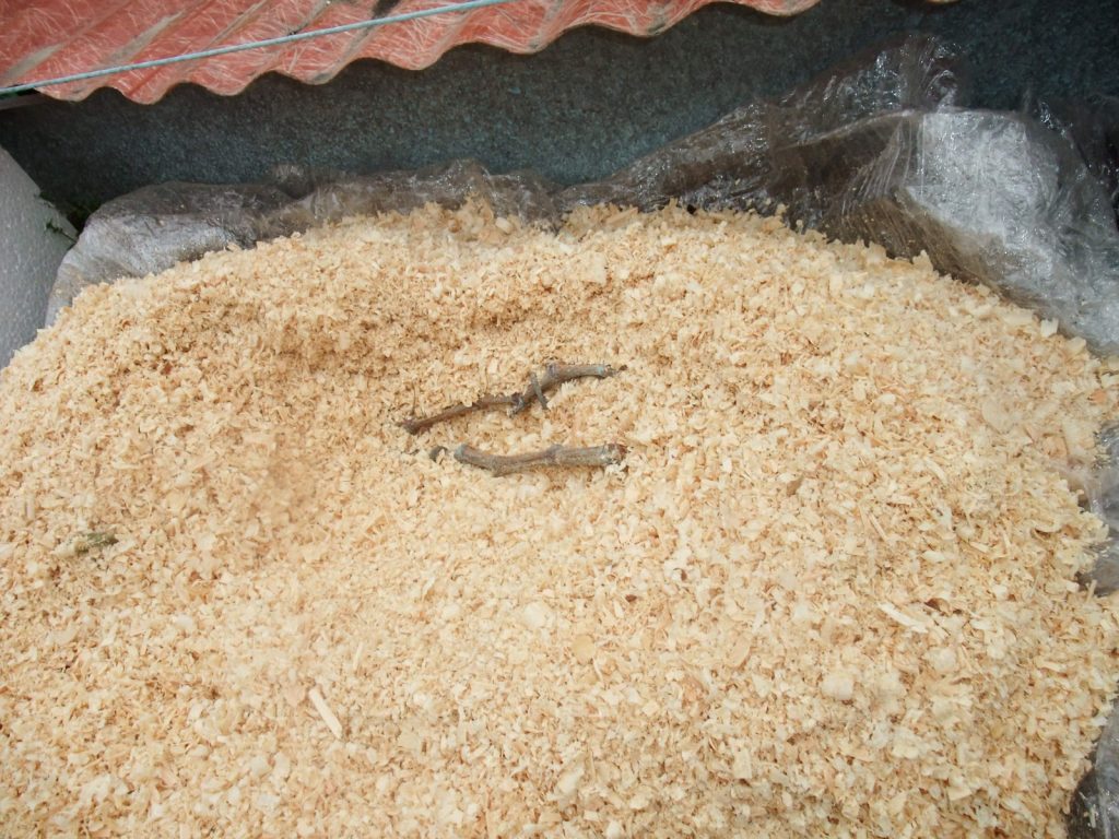 Применение опилок требует подложки в виде плёнки