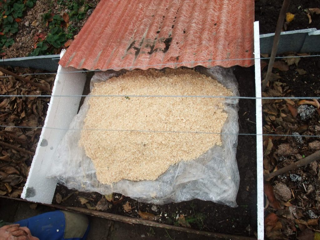 Укрытие винограда на зиму