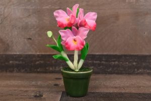 Орхидея дендробиум – уход в домашних условиях. Распространенные виды. Что делать с цветком после покупки? Правила ухода и размножения | (110+ Фото и Видео)
