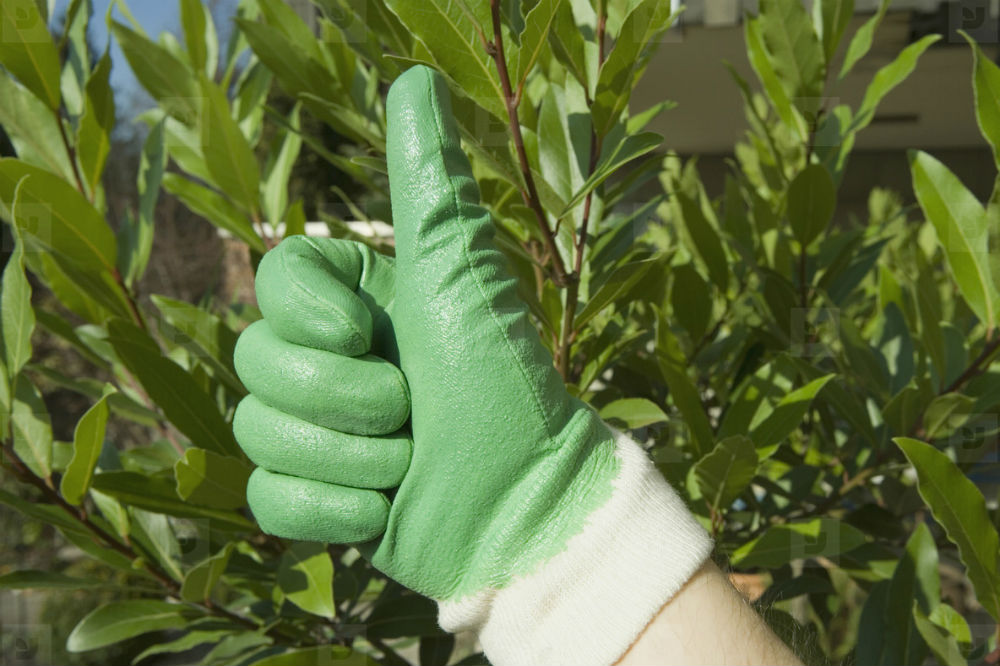 Очень важно беречь свои руки