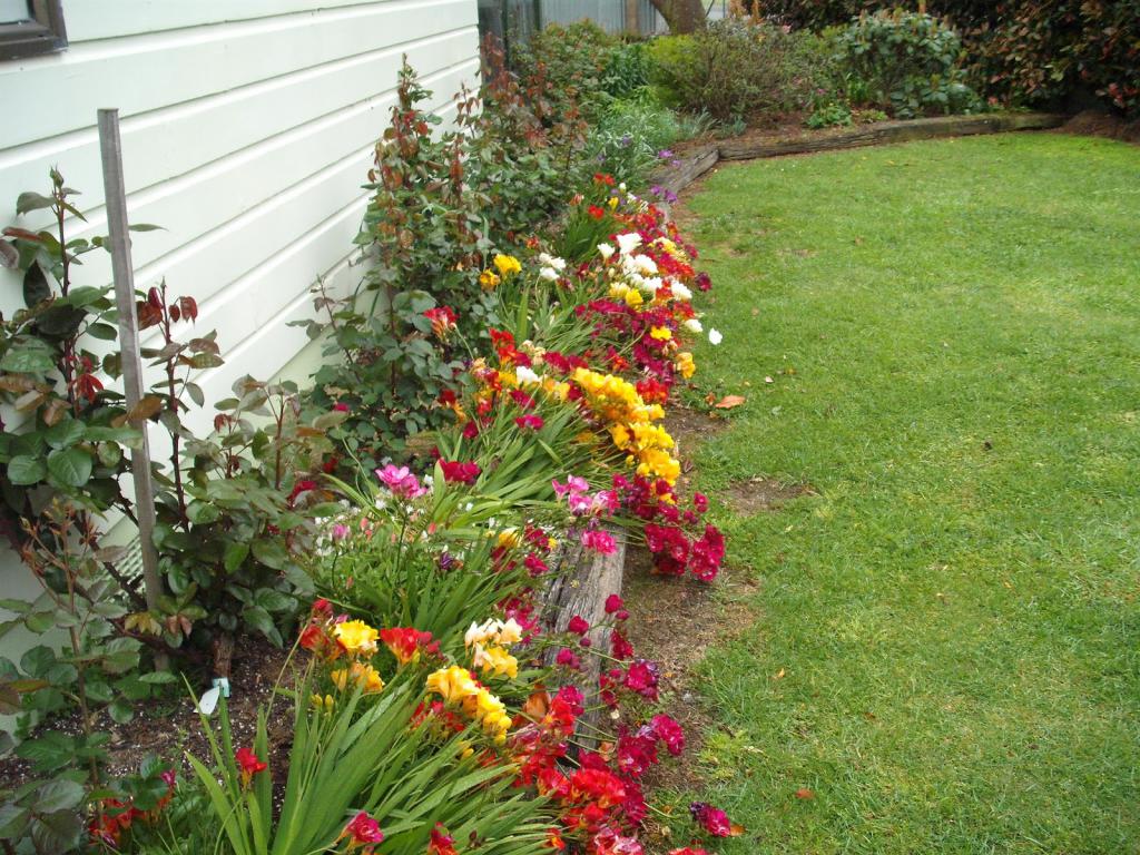 Использование в декоративных целях