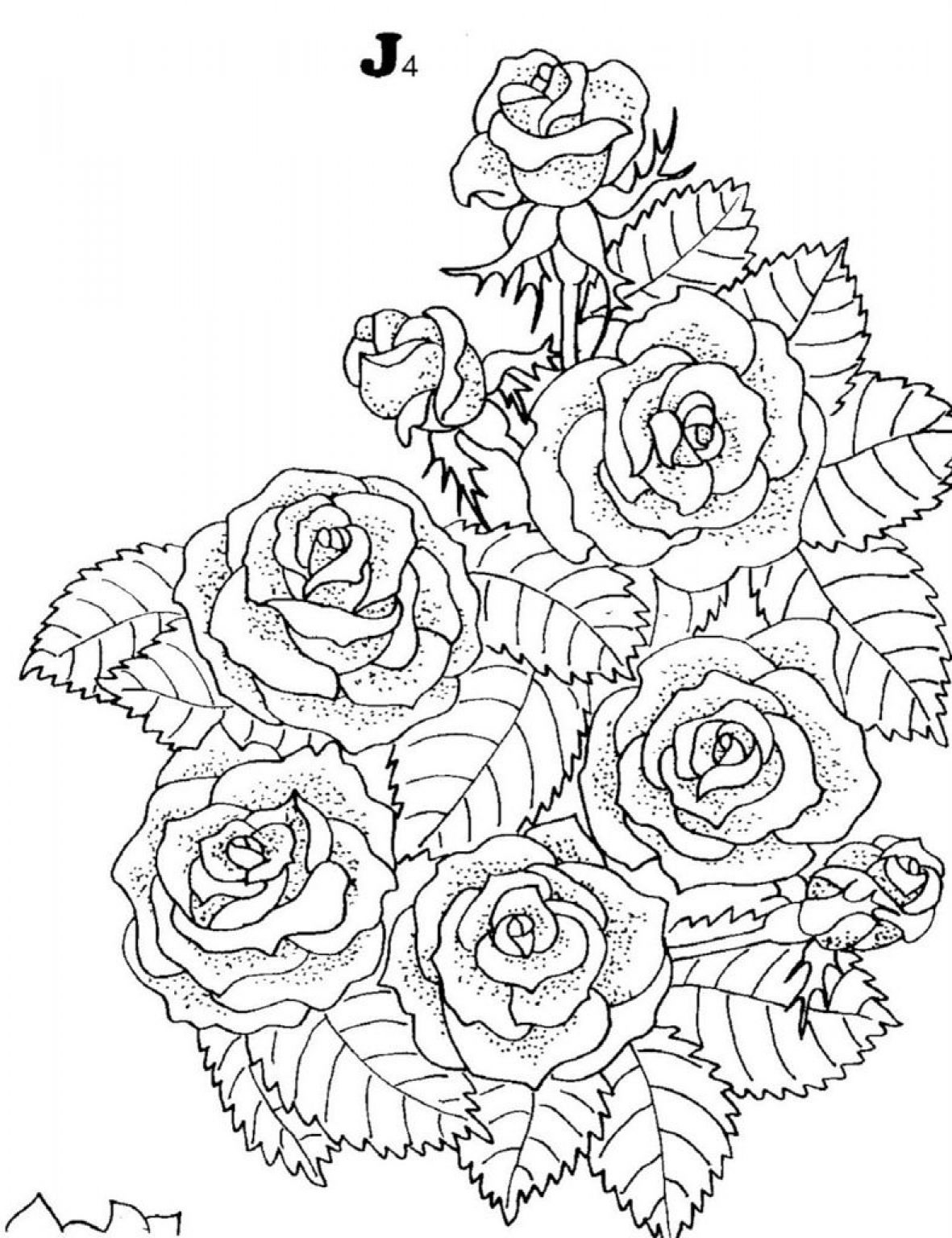 Раскраски сложные роза