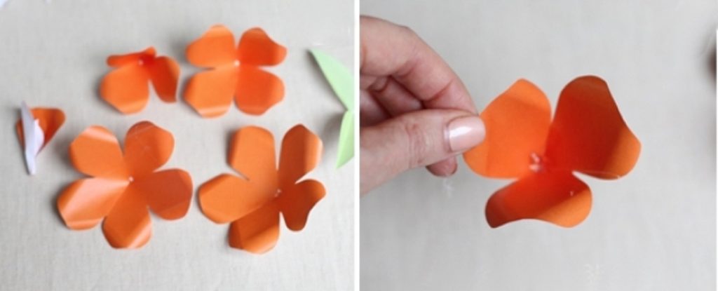 Лепестки в виде конусов