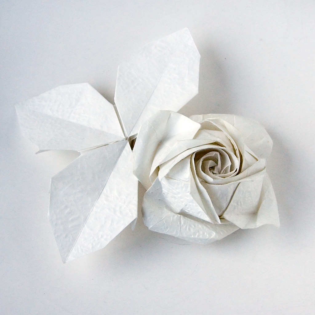 Роза Кавасаки