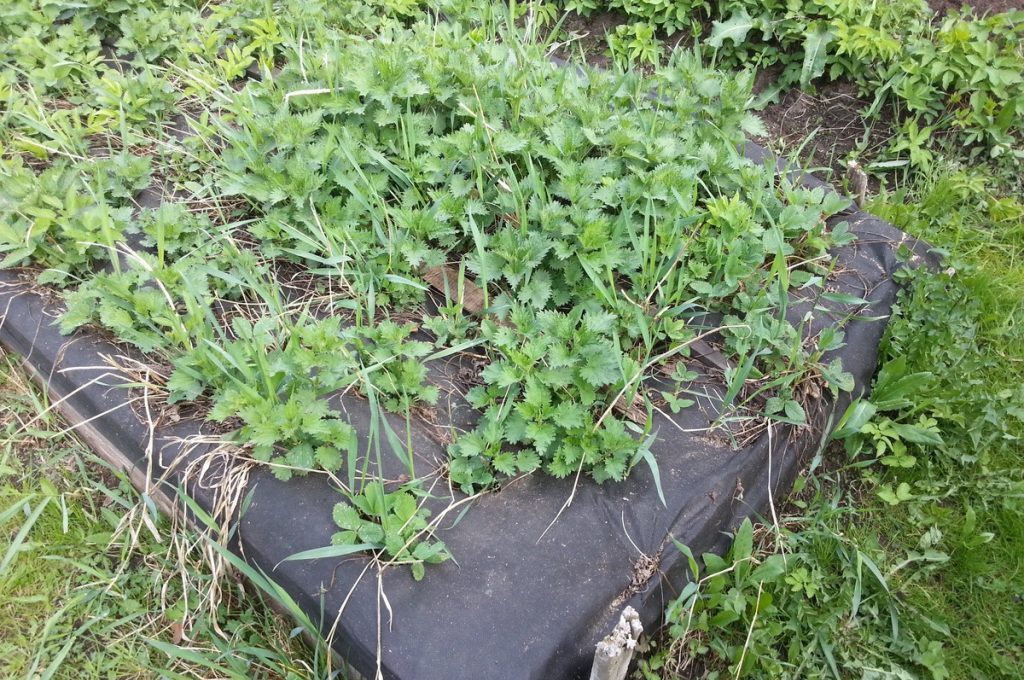 Нетканые укрывные материалы