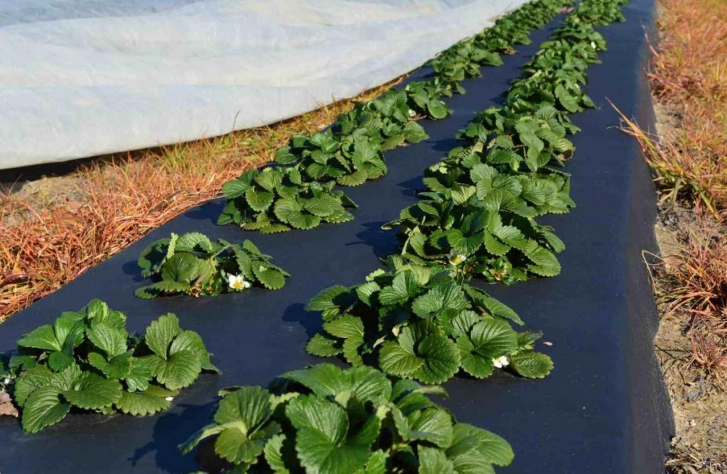 Агроволокно