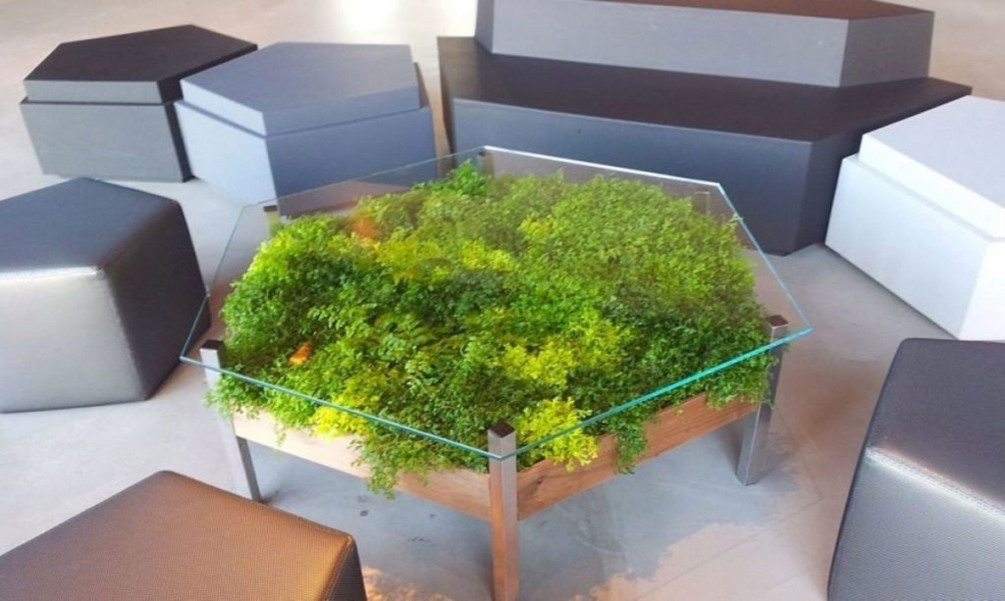 Куб с цветами внутри. Журнальный столик «Moss Garden». Стол со мхом. Столик со стабилизированным мхом. Стол с живыми растениями.