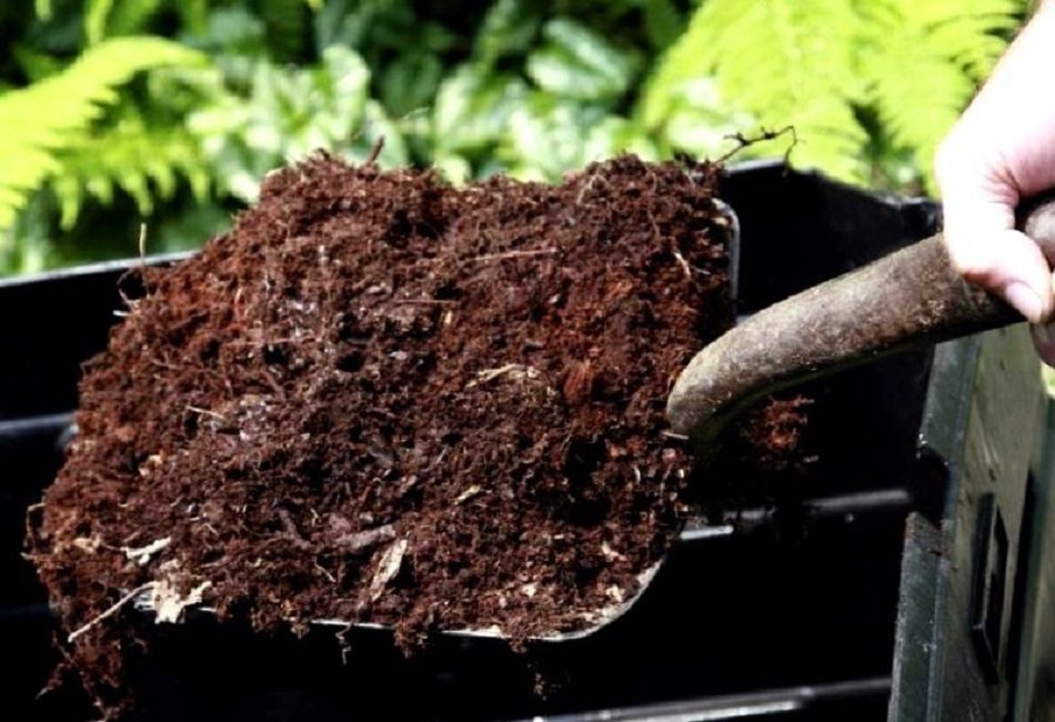 Садовый компост вызревает быстрее при внесении в него золы