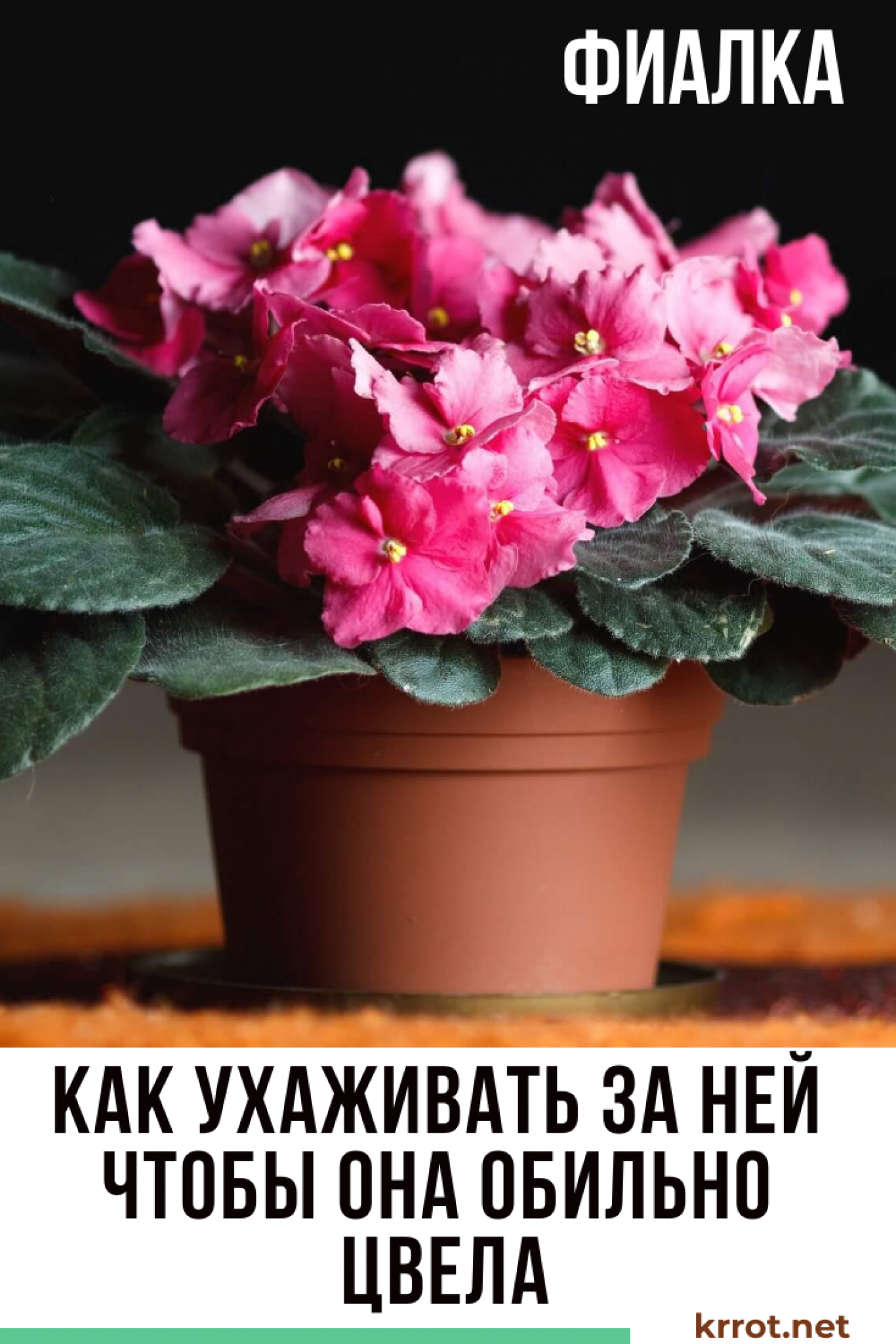 ТОП-6 Способов Как Заставить Обильно Цвести Фиалки