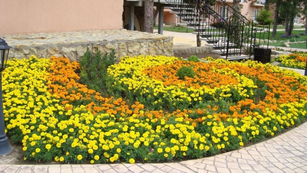 Ограждение для клумбы | ТОП-17 Идей для создания и обустройства заборчиков своими руками (80+ Фото & Видео) +Отзывы Ограждение для клумбы | ТОП-17 Идей для создания и обустройства заборчиков своими руками (80+ Фото & Видео) +Отзывы