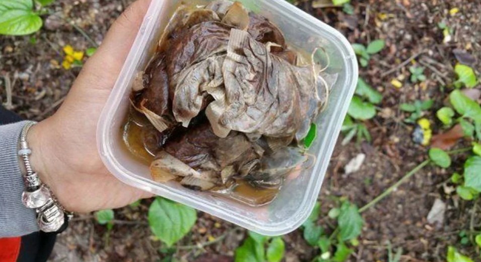 Использованные чайные пакетики можно применить в качестве дополнительной подкормки