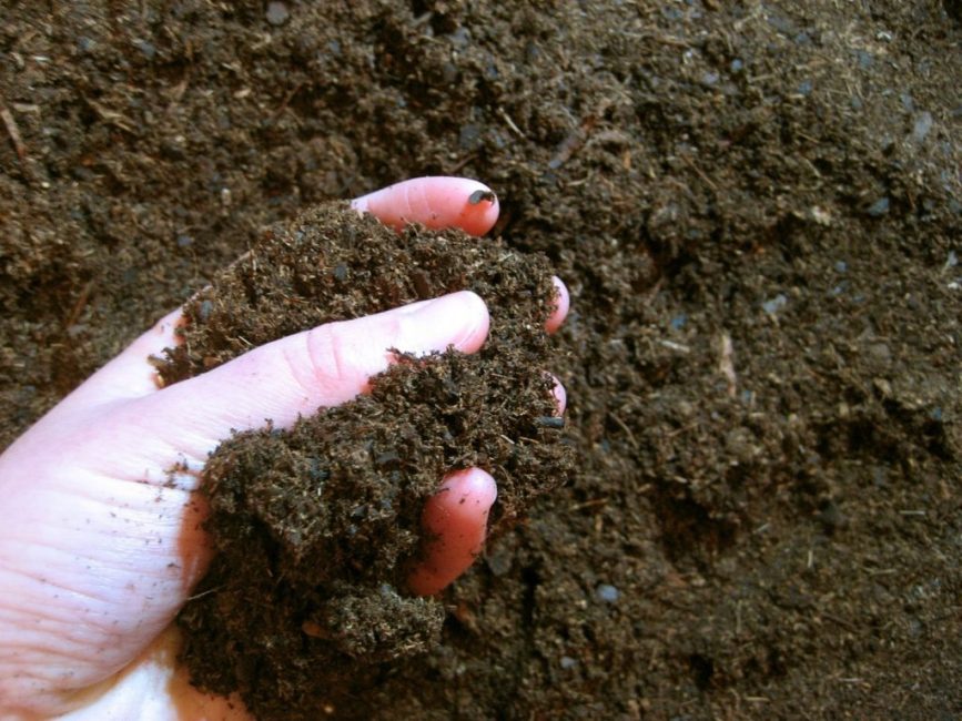 Качественная почва состоит из комочков-конгломератов и содержит гумус
