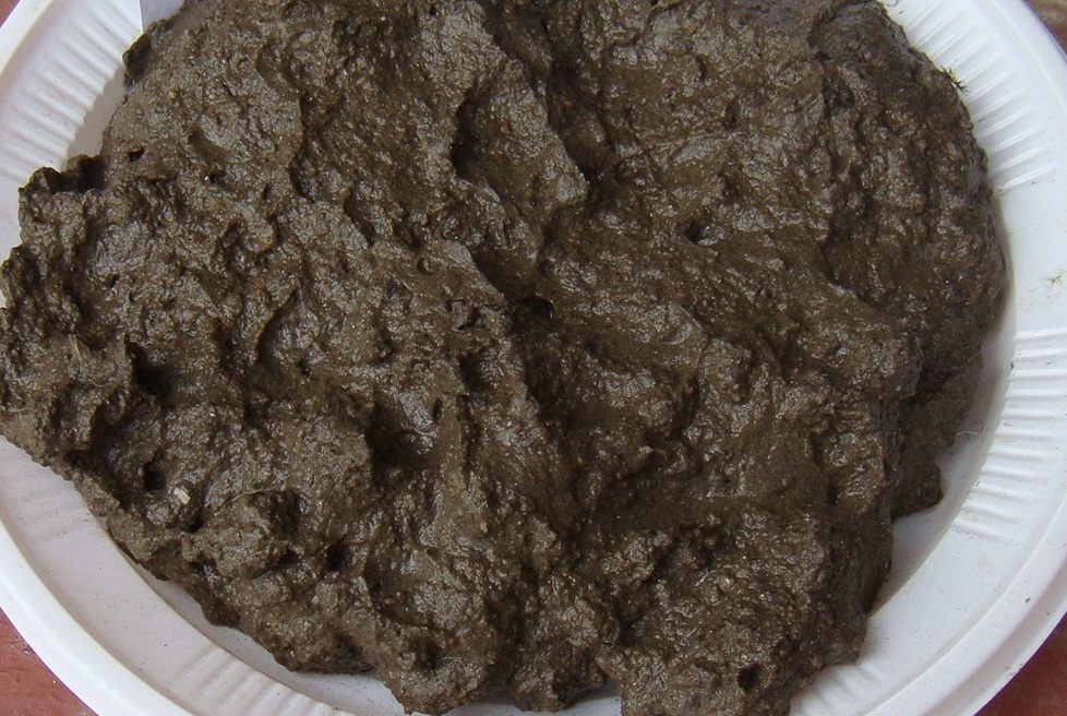 Жидкий речной ил перед просушкой