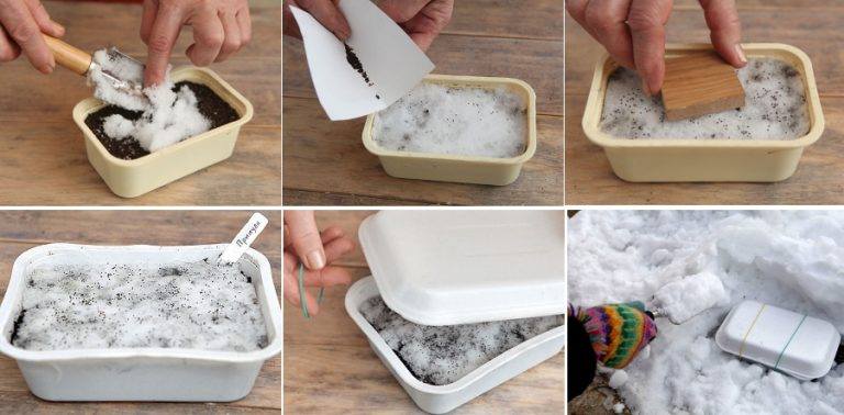 Как подготовить семена к посеву промораживанием