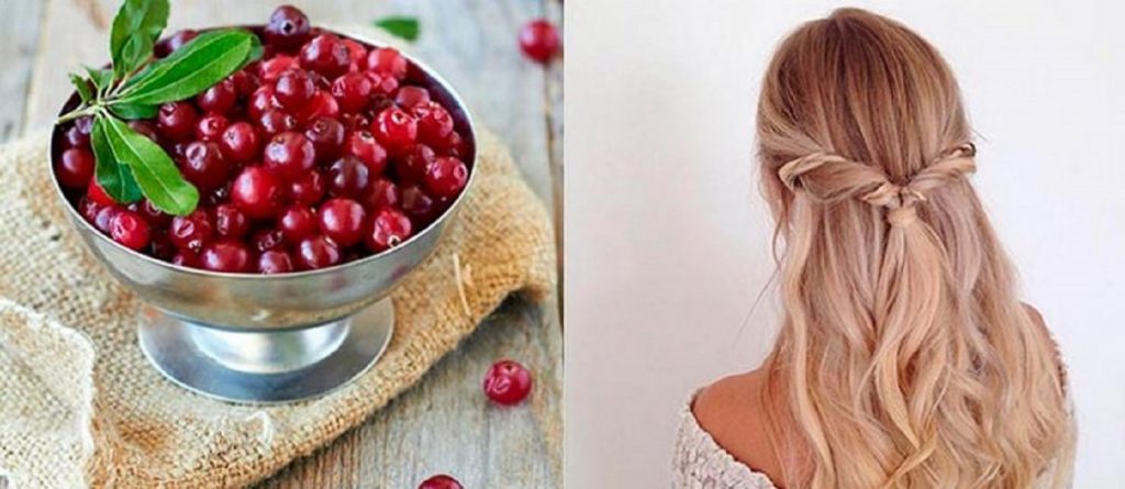 Клюква - полезные и лечебные свойства для здоровья организма