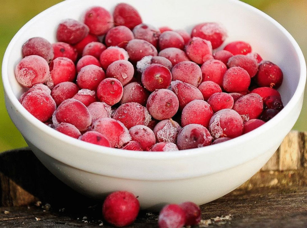 Лесной врачеватель